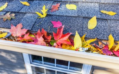 Crucial Home Maintenance Tasks to Stay on Top Of